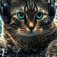 🎸 貓貓Music音樂分享大帝國 🎵