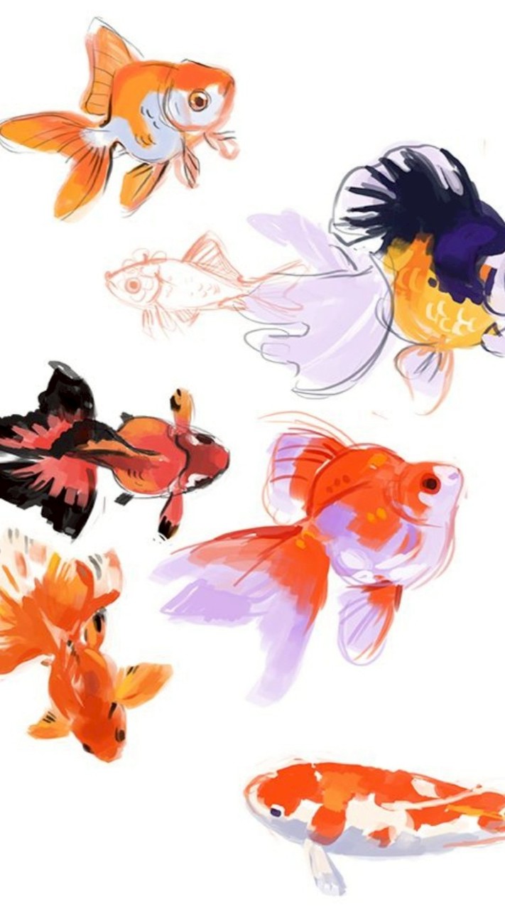 🐋 บ้านปลาของฉัน 🐬( Official )