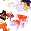 🐋 บ้านปลาของฉัน 🐬( Official )
