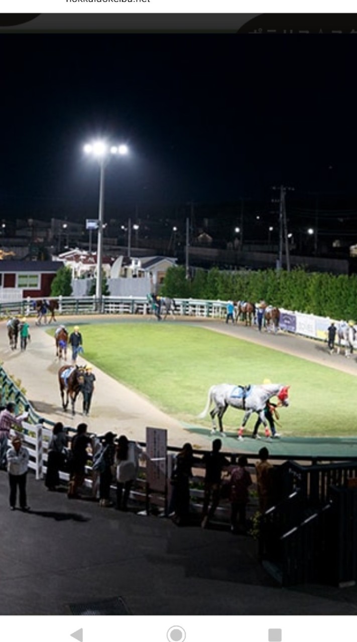 ポセイドーンシュウ競馬のオープンチャット