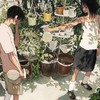 俺らの時代！卍（折学）
