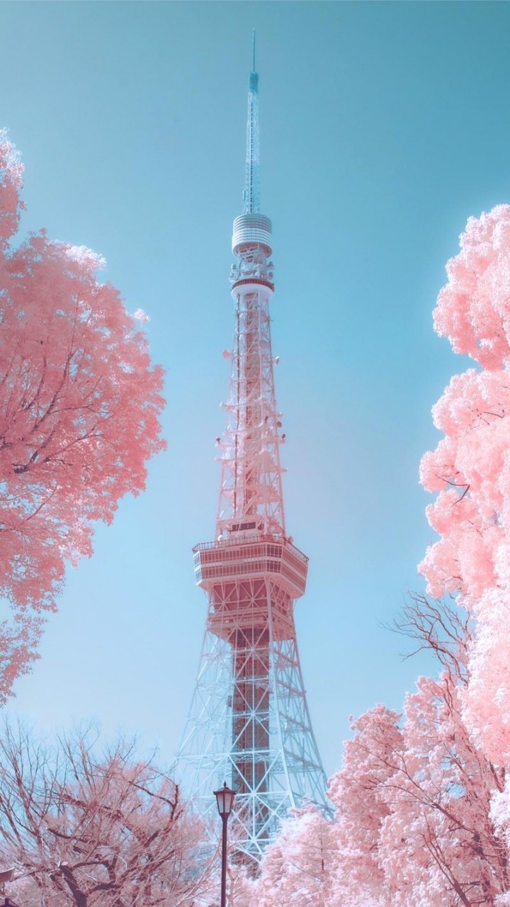 หิ้ว หิ้ว ทุกอย่างที่มีในญี่ปุ่น🇯🇵