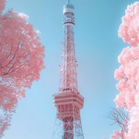 หิ้ว หิ้ว ทุกอย่างที่มีในญี่ปุ่น🇯🇵