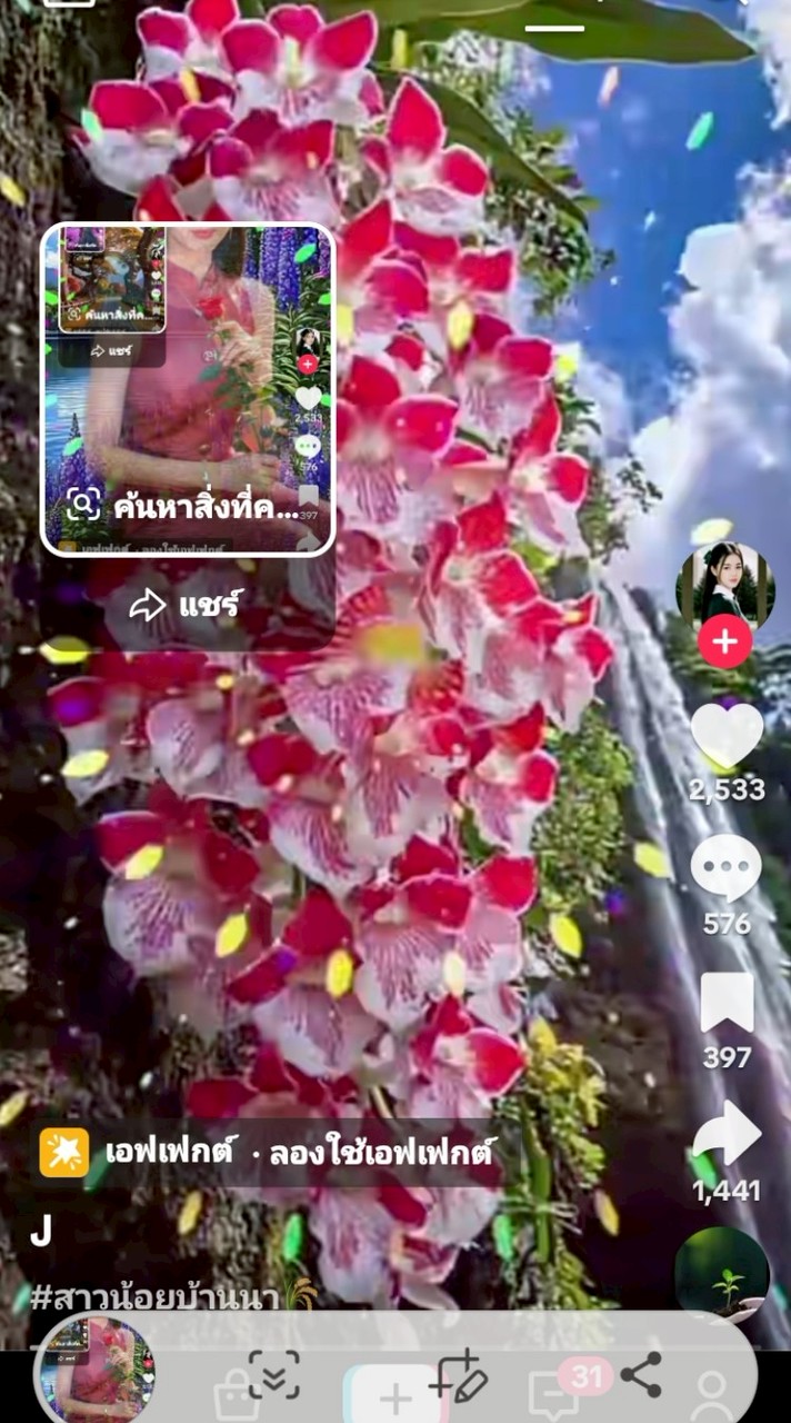 ดอกไม้ทะเล