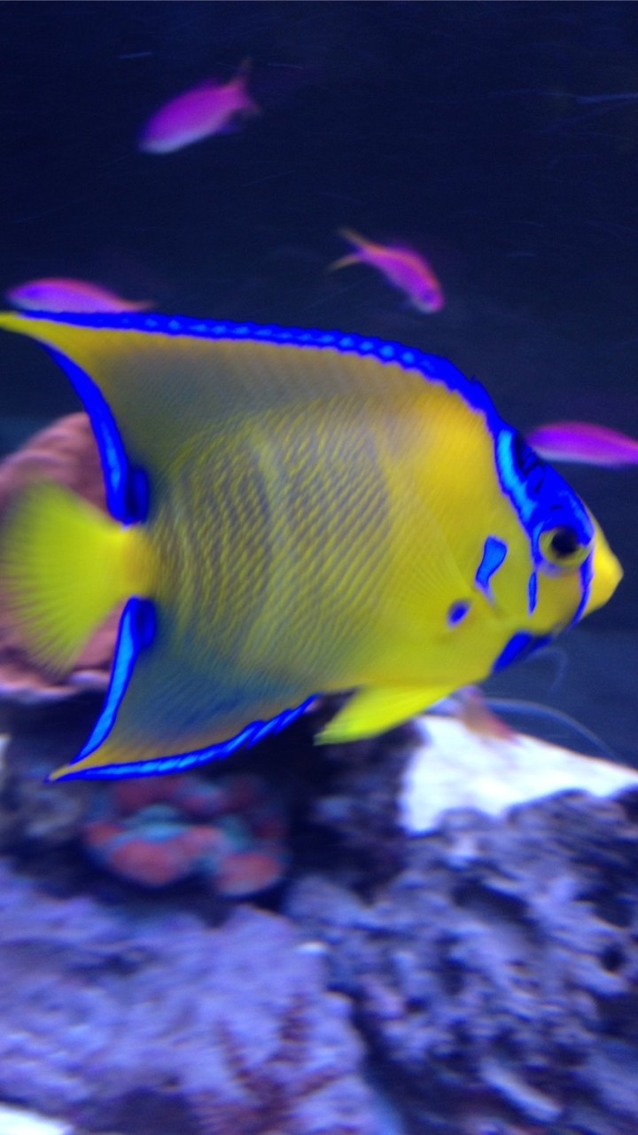 魚が大好き過ぎて仕方ないグループ(千葉)