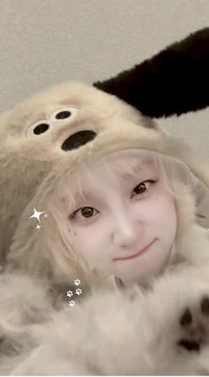 哈基咪南北綠豆（有病的人就進來）(≧ω≦）