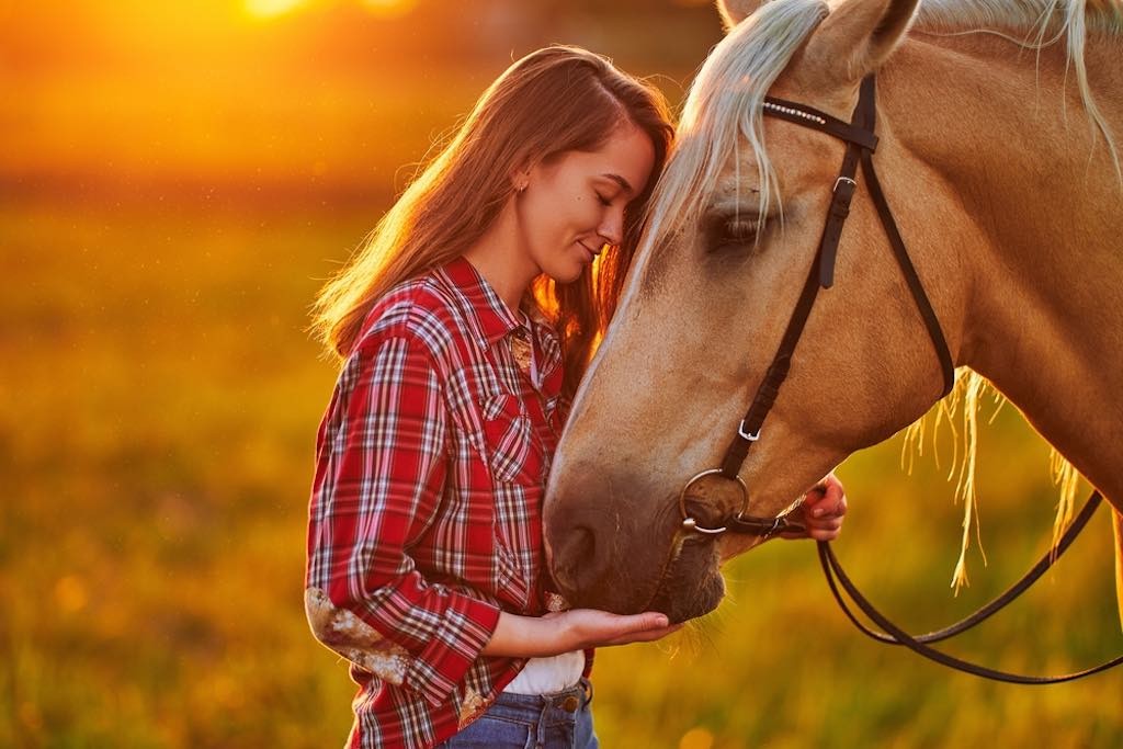 否定的な言葉は不愉快 動物は人の気持ちを解読していることが判明 ゲットナビ