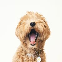 鈴木心オープンチャット