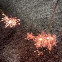 雑談、相談、恋バナetc.