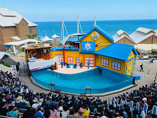  海獅巡警隊(圖片來源/遠雄海洋公園)