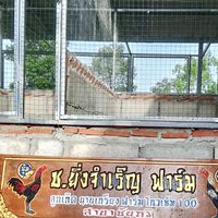 🐲ช.ยิ่งจำเริญ ฟาร์ม (โกวเซ้ม ฟาร์ม 💯)🐲