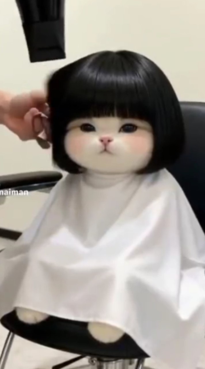 เพลงของมัสคีเทียร์