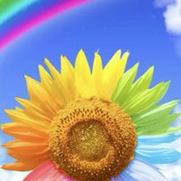 【まいホーム🌺しこく】30〜50代癒し部屋🍀