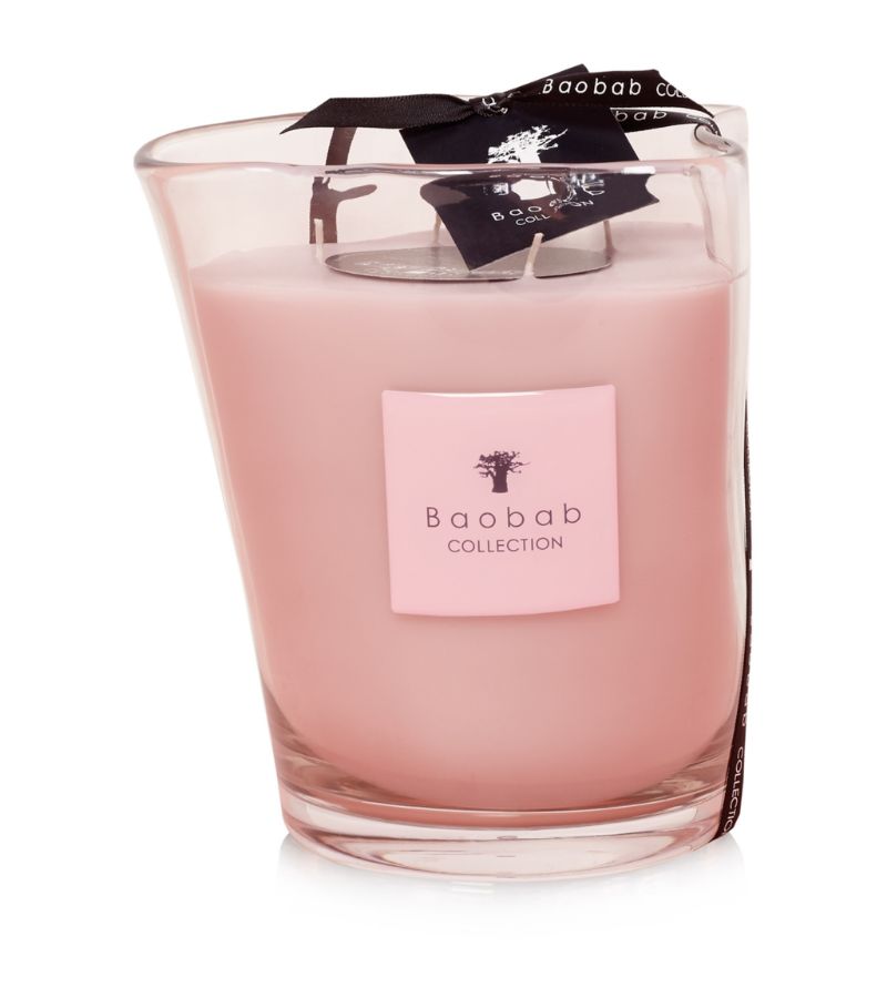 Let yourself be transported to a fantasy world with the Baobab Dream candle from the Modernista Vidr