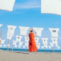 高知の冒険