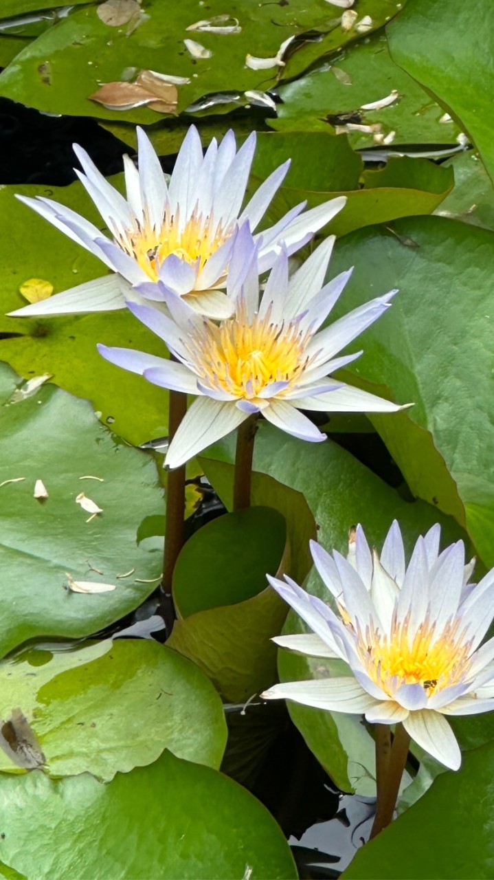 立農113學年度505