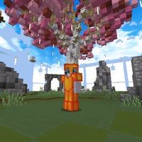ちゃんともオプ(マイクラpvp)