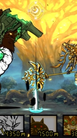 不ドーマのにゃんこ部屋（本物）