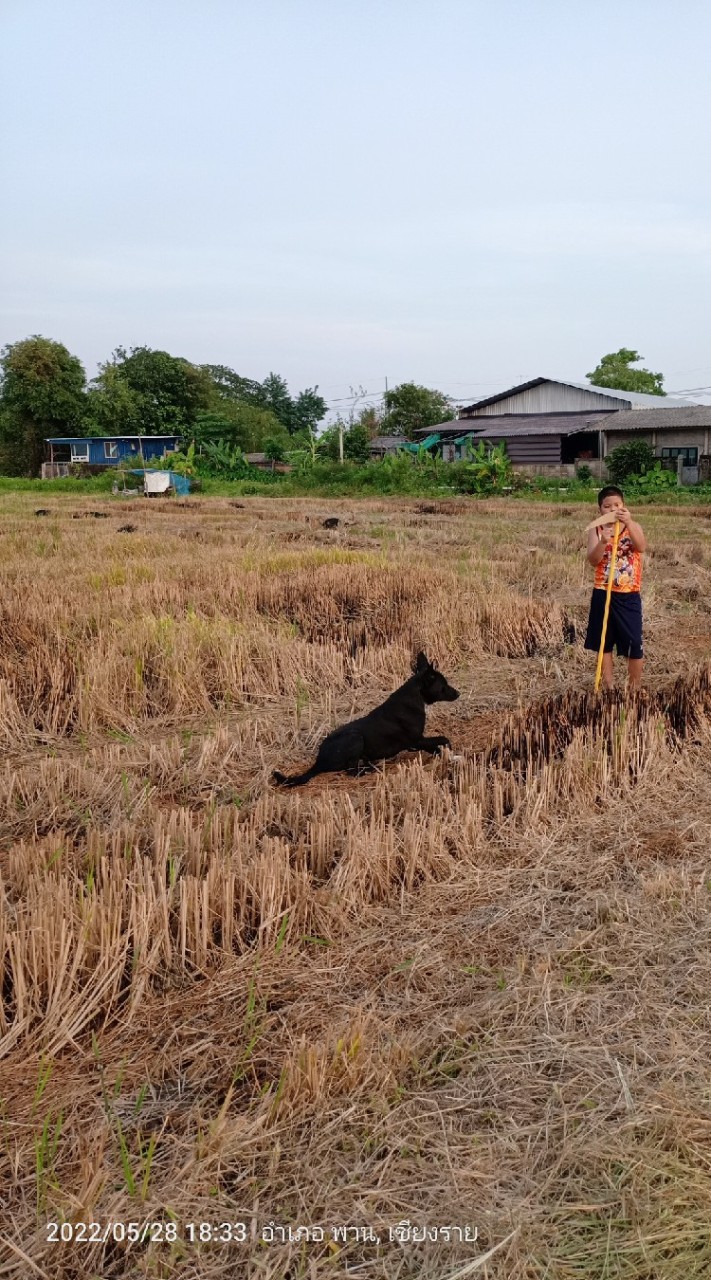 จิปาถะหน้ากาด