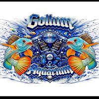 Gollum Aquarium