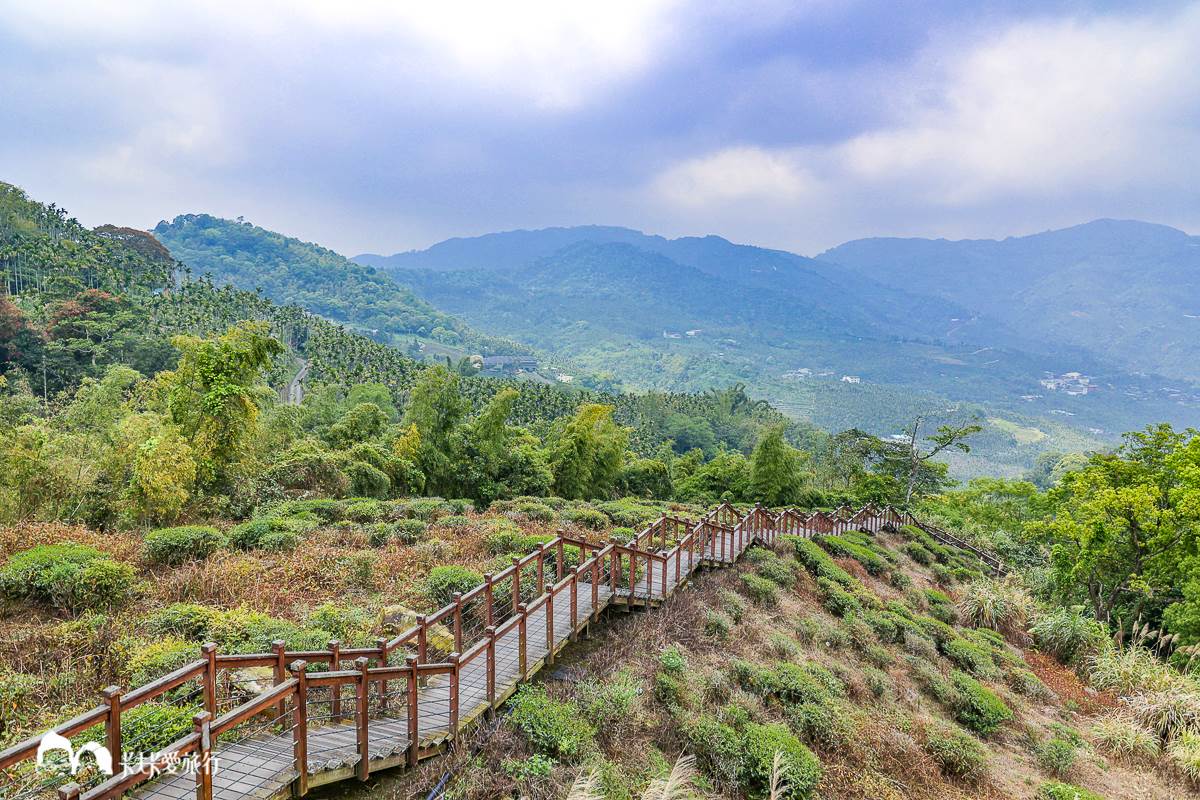 別只去阿里山！嘉義梅山12大祕境：最美茶園步道、台版九寨溝、海拔最高吊橋