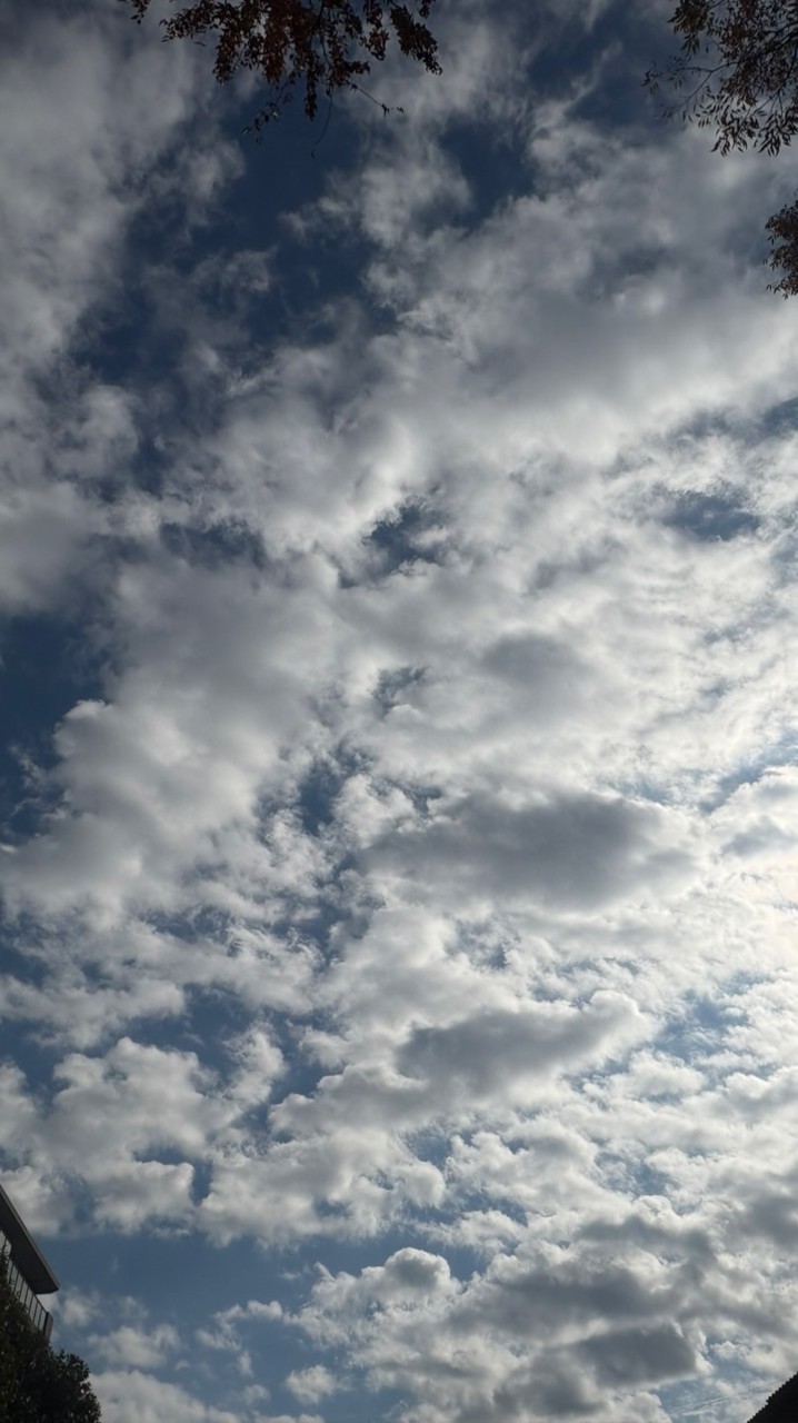空の風景欲しい人入りな☁️