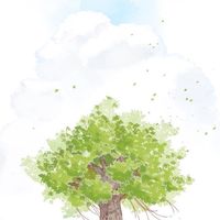 蘭格罕細胞組織球增生症