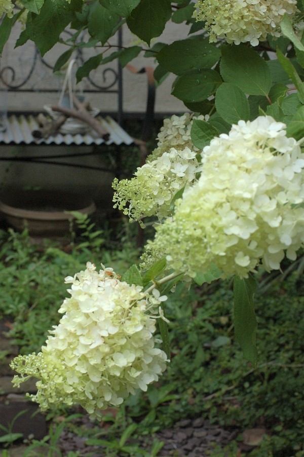 ろくでなしは使いよう