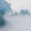 水電⚡️ 🥇專業聯盟🦙