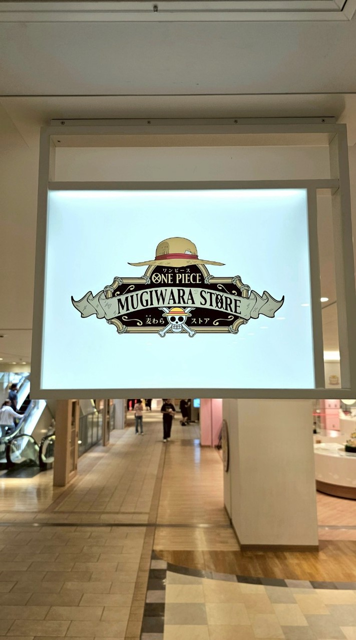 海賊王專賣店代購