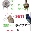 鳥のラインスタンプ応募（応募用）