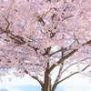 【友対】将棋ウォーズ【雑談】