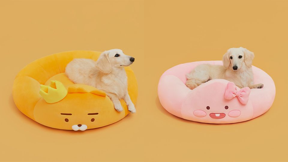 圖片來源：KAKAO FRIENDS.KR