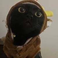 嚕嚕動物園