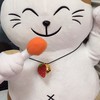 まねきねこ(バイト、社員、バイト希望の方限定！)