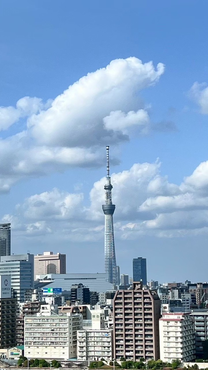 5/4-5/11東京.橫濱.鎌倉代購