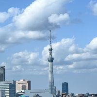 5/4-5/11東京.橫濱.鎌倉代購