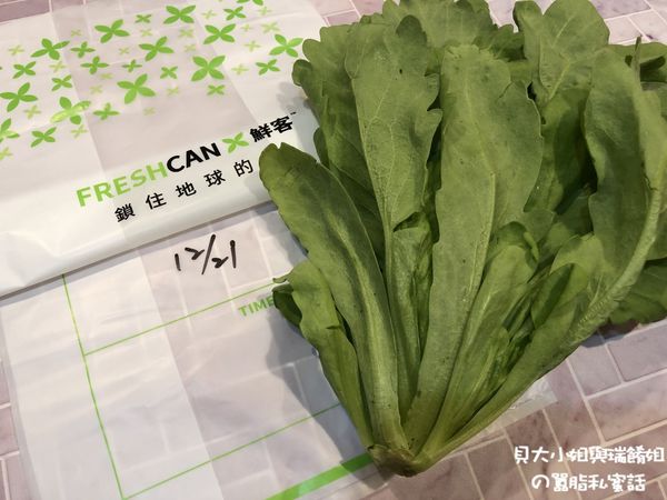 茼蒿-Day1-12