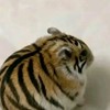 ด้อมเล่นเกม