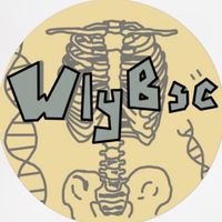 生物醫學研究社wlybsc_2nd