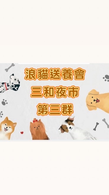 （3）浪貓送養-三和夜市