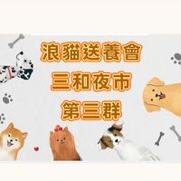 （3）浪貓送養-三和夜市