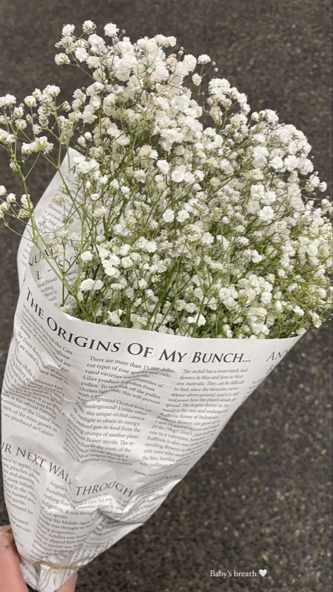 ˑ̶͙˳ 💐 𓈒 ᱸ 𝓝𝓸𝓿𝓮𝓵 & 𝓦𝓮𝓫𝓽𝓸𝓸𝓷 𓈒 ♥︎᷈ ̟ᚇ̵ ﾟ