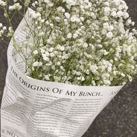 ˑ̶͙˳ 💐 𓈒 ᱸ 𝓝𝓸𝓿𝓮𝓵 & 𝓦𝓮𝓫𝓽𝓸𝓸𝓷 𓈒 ♥︎᷈ ̟ᚇ̵ ﾟ