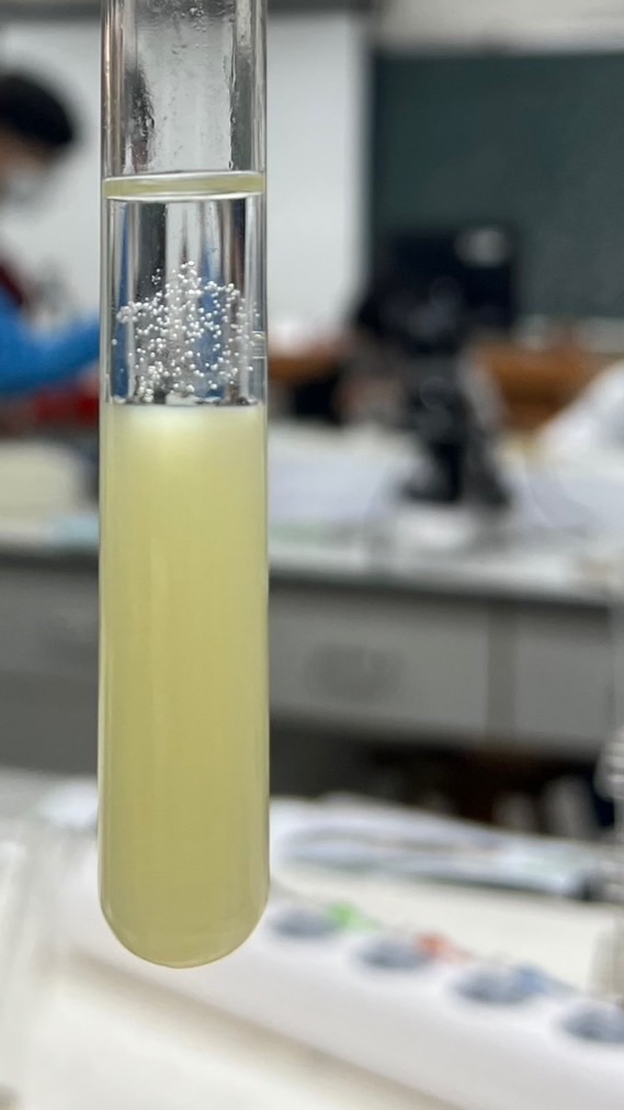 物理化學（理化），生物，地科，愛好者討論區