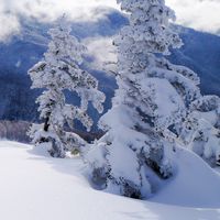 岡山に移住 友達欲しい