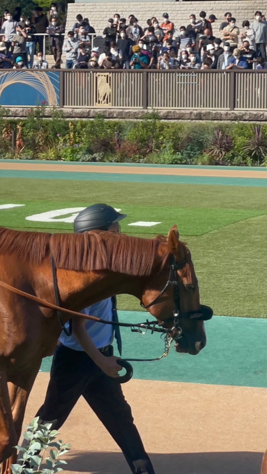 わなきちの中央競馬予想部屋のオープンチャット