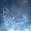 実況者 様 応援部 .ᐟ.ᐟ