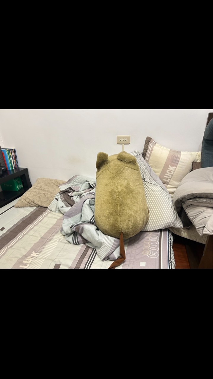 中央情報局