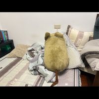 中央情報局